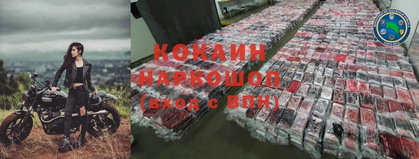прущие грибы Арсеньев