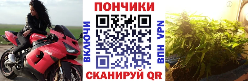 Купить закладки Сосногорск МАРИХУАНА конопля